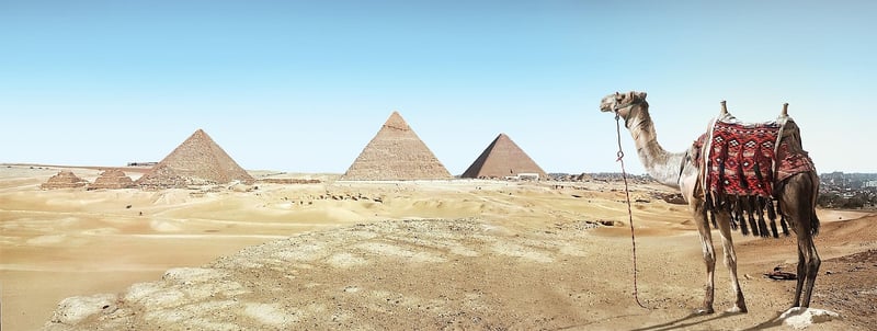 Archaeological dig
